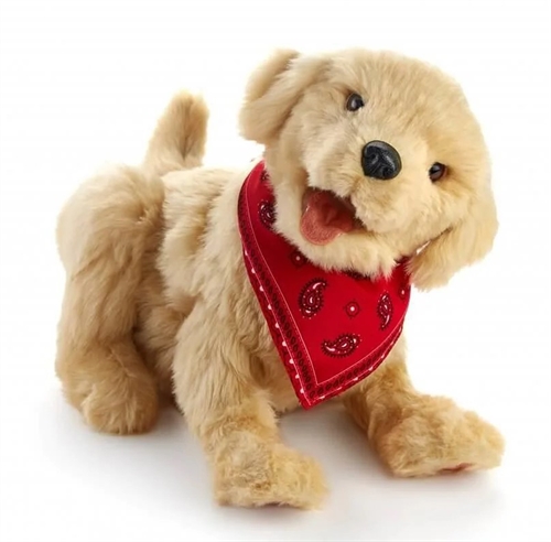 Hunden Robert
